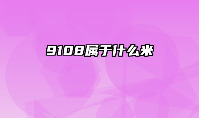 9108属于什么米