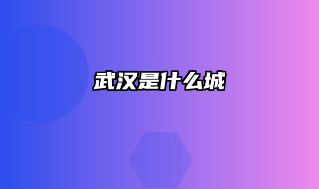 武汉是什么城