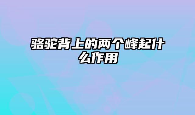 骆驼背上的两个峰起什么作用