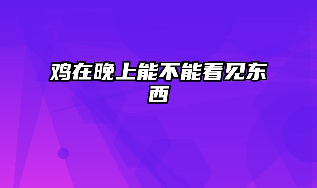 鸡在晚上能不能看见东西