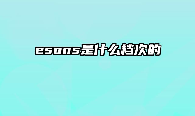 esons是什么档次的