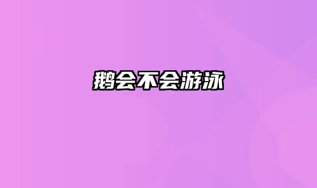 鹅会不会游泳