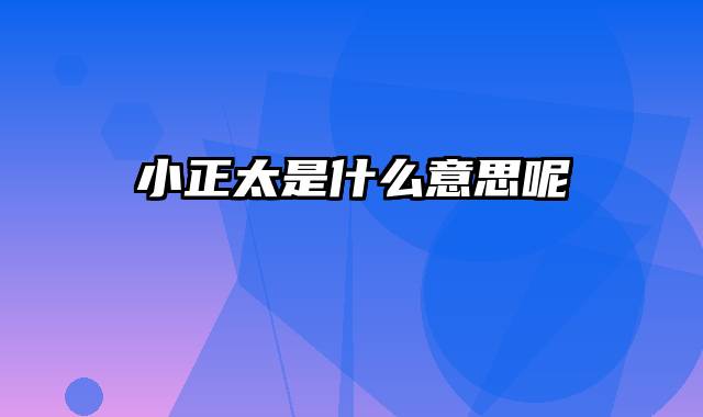 小正太是什么意思呢