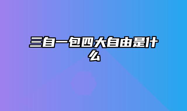 三自一包四大自由是什么