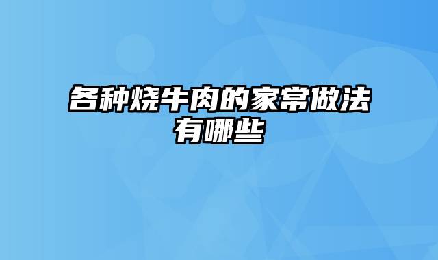 各种烧牛肉的家常做法有哪些