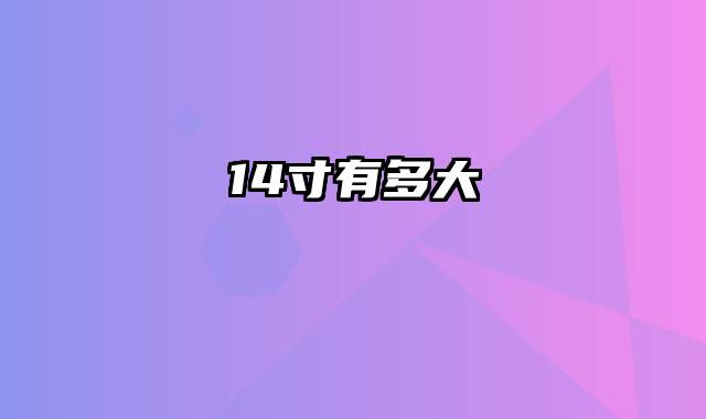 14寸有多大