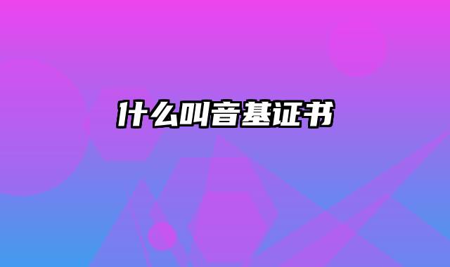 什么叫音基证书