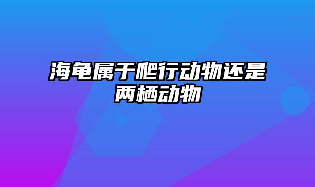 海龟属于爬行动物还是两栖动物