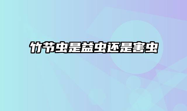 竹节虫是益虫还是害虫