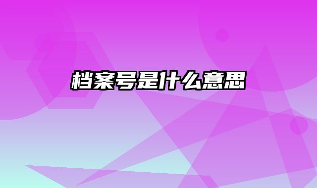 档案号是什么意思
