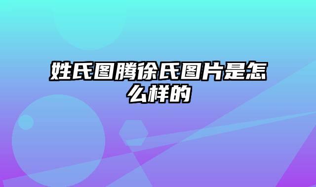 姓氏图腾徐氏图片是怎么样的
