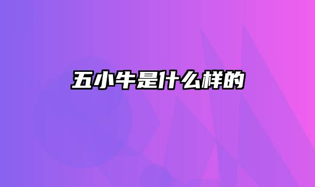 五小牛是什么样的