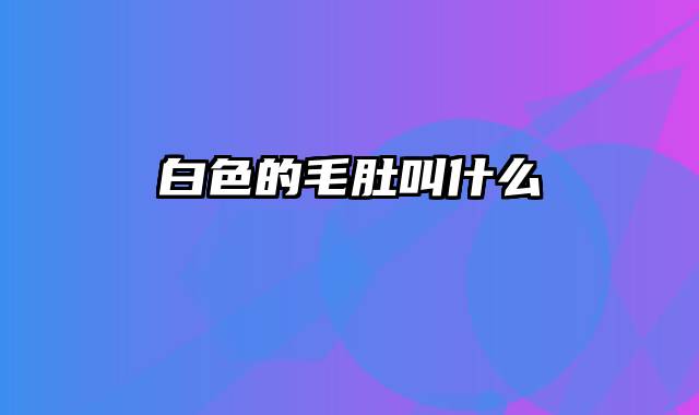白色的毛肚叫什么