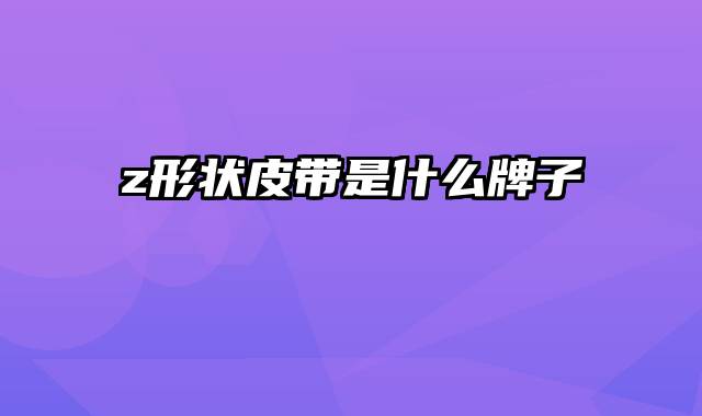 z形状皮带是什么牌子