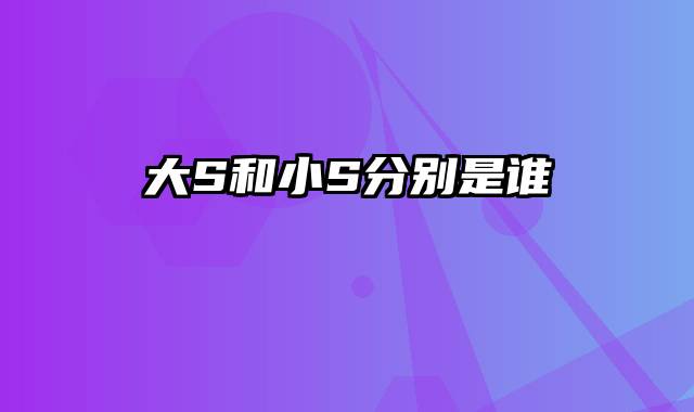 大S和小S分别是谁