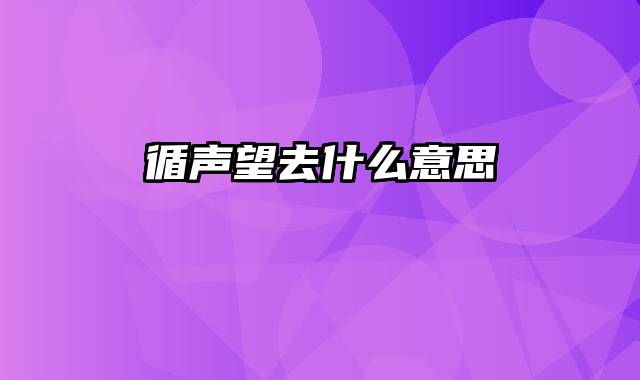 循声望去什么意思