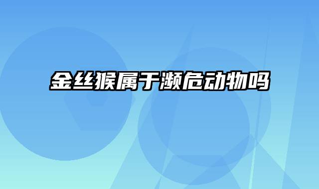 金丝猴属于濒危动物吗