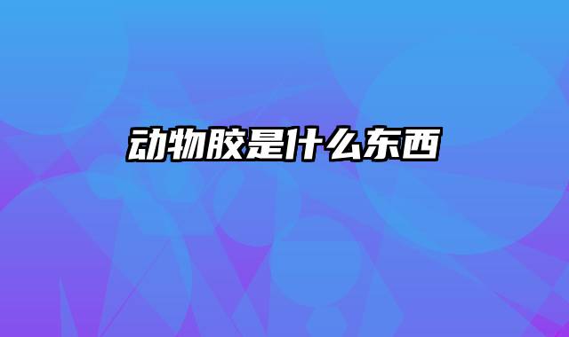 动物胶是什么东西