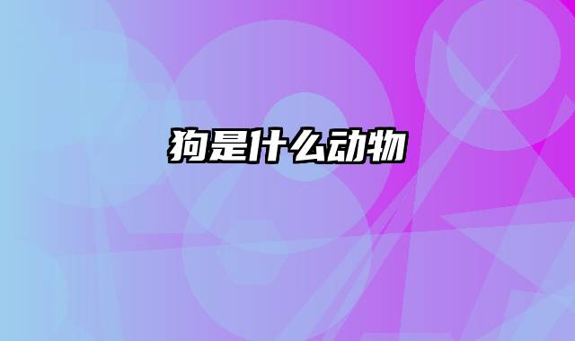 狗是什么动物