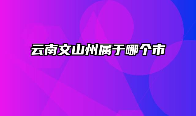 云南文山州属于哪个市