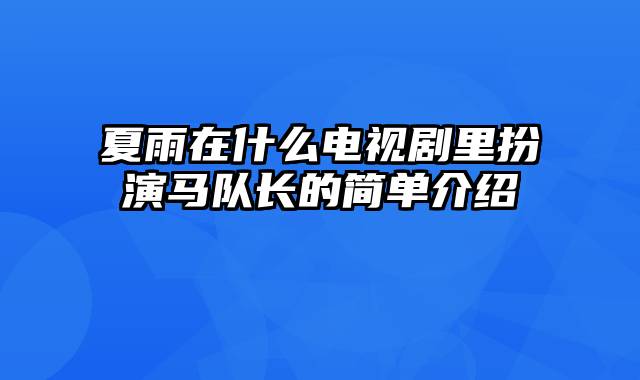 夏雨在什么电视剧里扮演马队长的简单介绍