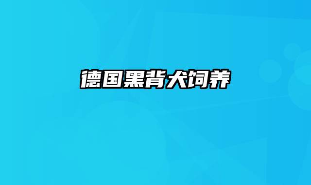 德国黑背犬饲养