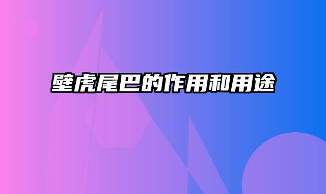 壁虎尾巴的作用和用途