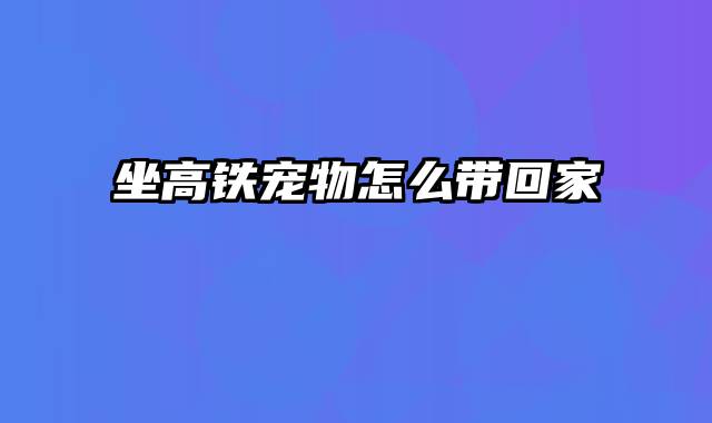 坐高铁宠物怎么带回家