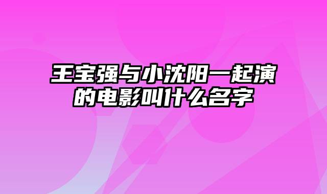 王宝强与小沈阳一起演的电影叫什么名字