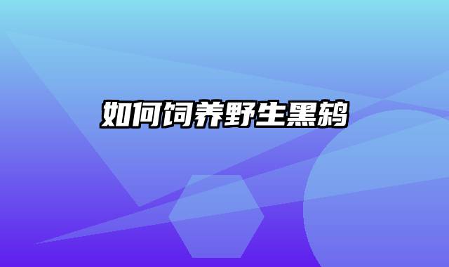 如何饲养野生黑鸫