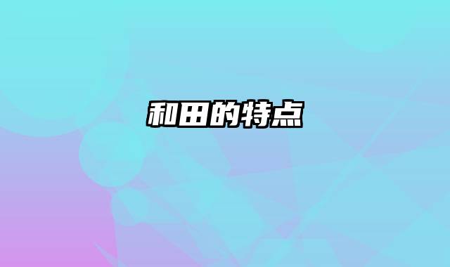 和田的特点