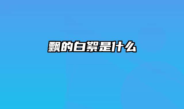 飘的白絮是什么
