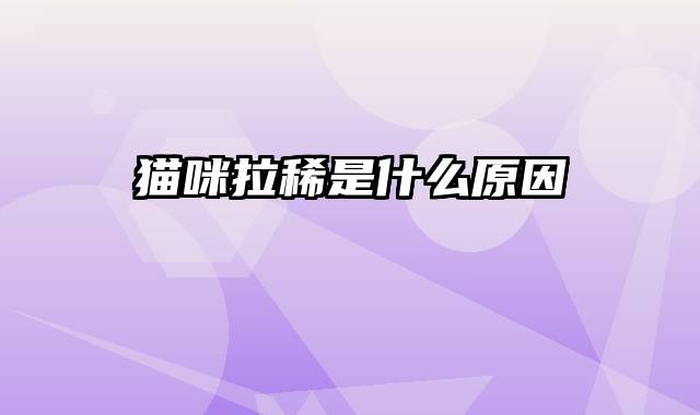 猫咪拉稀是什么原因