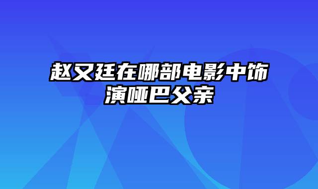 赵又廷在哪部电影中饰演哑巴父亲