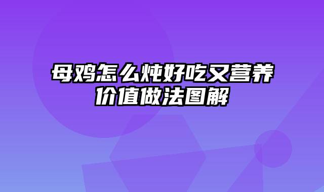 母鸡怎么炖好吃又营养价值做法图解