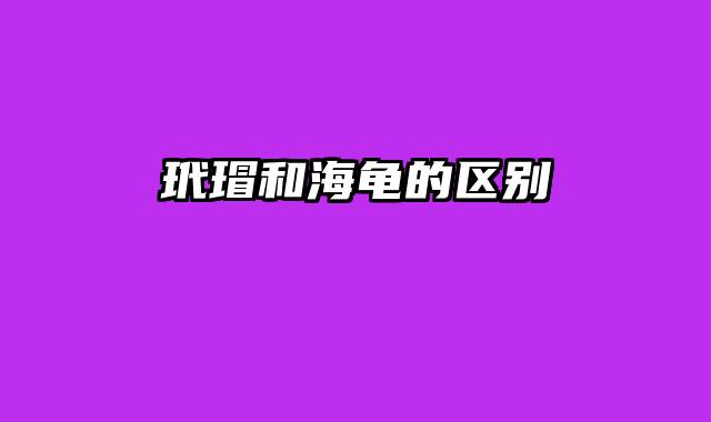玳瑁和海龟的区别
