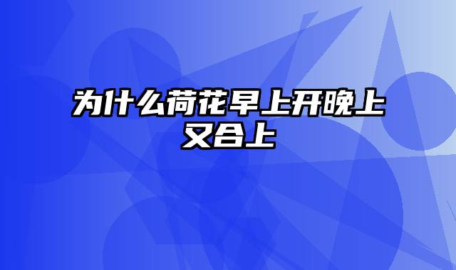 为什么荷花早上开晚上又合上