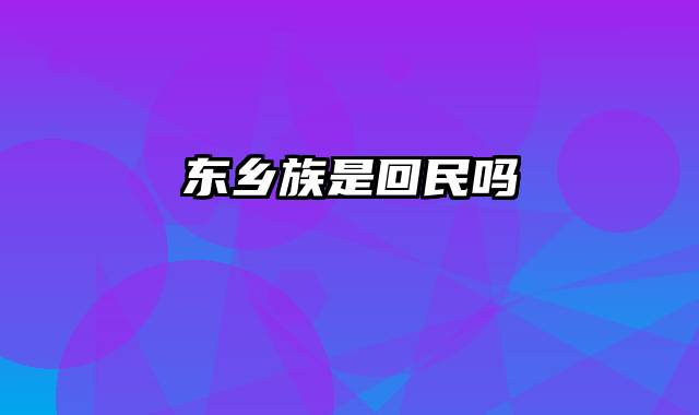 东乡族是回民吗
