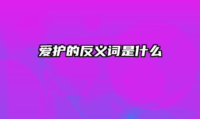 爱护的反义词是什么