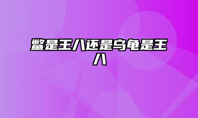 鳖是王八还是乌龟是王八
