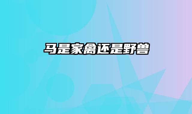 马是家禽还是野兽