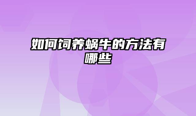 如何饲养蜗牛的方法有哪些