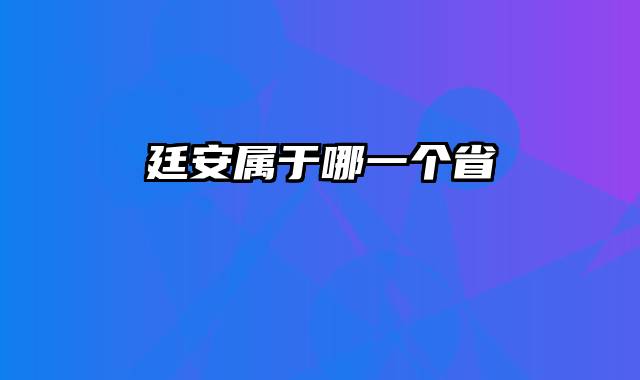 廷安属于哪一个省