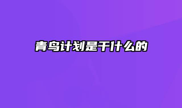 青鸟计划是干什么的