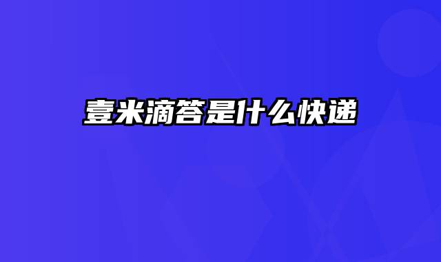 壹米滴答是什么快递