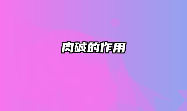 肉碱的作用