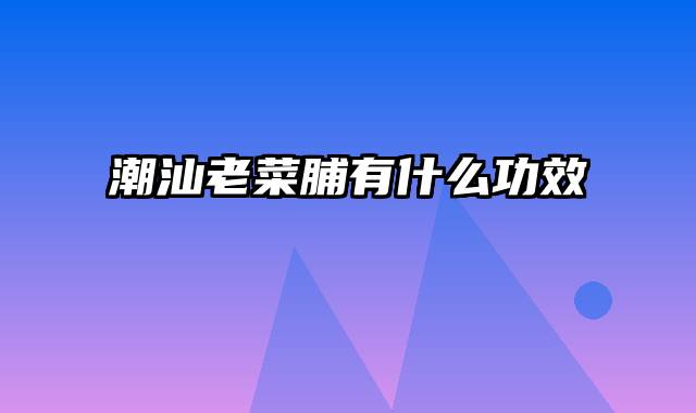 潮汕老菜脯有什么功效