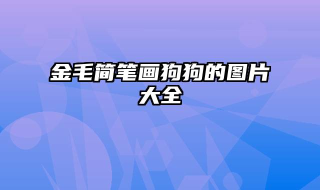 金毛简笔画狗狗的图片大全