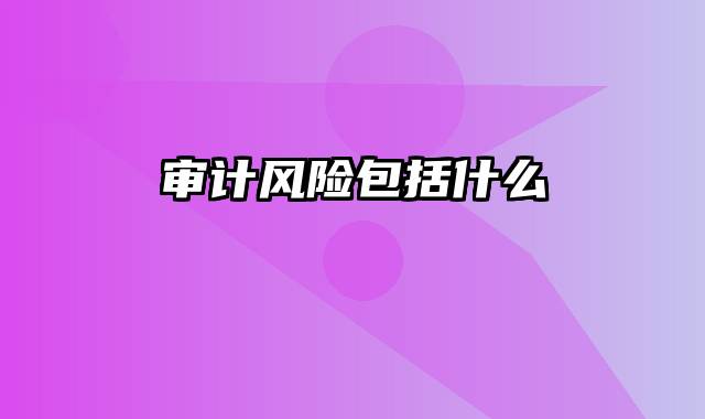 审计风险包括什么