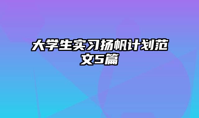 大学生实习扬帆计划范文5篇